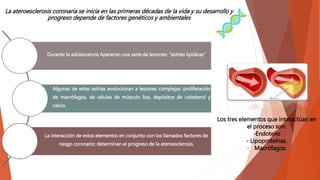 La ateroesclerosis coronaria se inicia en las primeras décadas de la vida y su desarrollo y
progreso depende de factores genéticos y ambientales
Durante la adolescencia Aparecen una serie de lesiones: “estrías lipídicas”
Algunas de estas estrías evolucionan a lesiones complejas: proliferación
de macrófagos, de células de músculo liso, depósitos de colesterol y
calcio.
La interacción de estos elementos en conjunto con los llamados factores de
riesgo coronario: determinan el progreso de la ateroesclerosis.
Los tres elementos que interactúan en
el proceso son:
-Endotelio
- Lipoproteínas.
- Macrófagos.
 