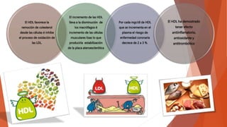 El HDL favorece la
remoción de colesterol
desde las células é inhibe
el proceso de oxidación de
las LDL.
El incremento de las HDL
lleva a la disminución de
los macrófagos é
incremento de las células
musculares lisas lo que
produciría estabilización
de la placa ateroesclerótica
Por cada mgr/dl de HDL
que se incrementa en el
plasma el riesgo de
enfermedad coronaria
decrece de 2 a 3 %.
El HDL ha demostrado
tener efecto
antiinflamatorio,
antioxidante y
antitrombótico
 