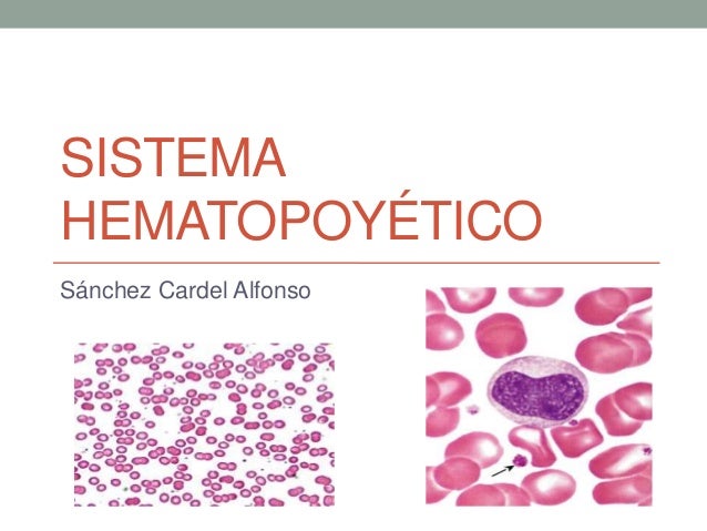 Capitulo 14 sistema hematopoyetico