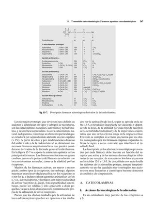15.       Transmisión catecolaminérgica. Fármacos agonistas catecolaminérgicos   247


                                                          5    6           b           a
                                                      4             1
                                                                          CH          CH          NH
                                                          3     2

                             Feniletilamina                                H          H           H

                             Catecolaminas prototipo
                             Adrenalina        3-OH,4-OH                   OH         H            CH3
                             Noradrenalina     3-OH,4-OH                   OH         H            H
                             Dopamina          3-OH,4-OH                   H          H            H
                             Isoprenalina      3-OH,4-OH                   OH         H            CH(CH3)2

                             Acción preferente aŸ
                             Fenilpropanolamina                            OH         CH3         H
                             Fenilefrina       3-OH                        OH         H           CH3
                             Metoxamina         2-OCH3' 5-OCH3             OH         CH 3        H
                             Metaraminol        3-OH                       OH         CH3         H

                             Acción preferente b
                             Dobutamina        3-OH,4-OH                   H          H           CH(CH3)-(CH2)2 -C6H5OH
                             Orciprenalina     3-OH,5-OH                   OH         H           CH(CH3) 2
                             Hexoprenalina     3-OH,4-OH                   OH         H           (CH2) 6-noradrenalina
                             Salbutamol        3-CH2OH,4-OH                OH         H           C(CH3)3
                             Fenoterol         3-OH,5-OH                   OH         H           CH(CH3)-CH2-C6H5OH
                             Terbutalina       3-OH,5-OH                   OH         H           C(CH3)3
                             Rimiterol         3-OH,4-OH                   OH         piperidil
                             Isoetarina        3-OH,4-OH                   OH         CH2CH3      CH(CH3)2
                             Ritodrina         4-OH                        OH         CH3         (CH2)2-C6H5OH

                             Acción mixta y central
                             Anfetamina                                    H          CH3         H
                             Metanfetamina                                 H          CH3         CH3
                             Efedrina                                      OH         CH3         CH3
                             Fenfluramina      3-CF3                       H          CH3         C2H5



                         Fig. 15-7. Principales fármacos adrenérgicos derivados de la feniletilamina.


   Los fármacos prototipo que sirvieron para definir las                         dos por la activación de los b, según se aprecia en la ta-
acciones y diferenciar los tipos y subtipos de receptores,                       bla 15-3, el resultado final puede ser aleatorio y depen-
son las catecolaminas naturales, adrenalina y noradrena-                         der de la dosis, de la afinidad por cada tipo de receptor,
lina, y la sintética isoprenalina. La otra catecolamina na-                      de la sensibilidad individual y de la importancia cuanti-
tural, la dopamina, constituye un elemento particular que                        tativa que uno de los efectos tenga en la respuesta final.
se estudiará por separado más adelante en este capítulo                          El efecto se complica si se tiene en cuenta que los efec-
(v. IV). A partir de ellas, y por modificaciones diversas                        tos conseguidos por los fármacos originan respuestas re-
del anillo fenilo o de la cadena lateral, se obtuvieron nu-                      flejas de signo, a veces, contrario que interfieren el re-
merosos fármacos simpatomiméticos que pueden consi-                              sultado final.
derarse derivados de la fórmula general feniletilamina.                             La descripción de los efectos farmacológicos provoca-
En la figura 15-7 se expone la estructura química de los                         dos por cada fármaco debe hacerse en función del re-
principales fármacos. Las diversas sustituciones originan                        ceptor que active y de las acciones farmacológicas tribu-
cambios, tanto en la potencia del fármaco en relación con                        tarias de ese receptor, de acuerdo con los datos expuestos
las catecolaminas naturales, como en la afinidad por los                         en las tablas 12-1 y 15-3. Se describirán con más detalle
receptores.                                                                      las acciones de la adrenalina porque, aunque terapéuti-
   Muchos de los fármacos activan, en mayor o menor                              camente su uso ha quedado muy restringido, sus accio-
grado, ambos tipos de receptores; sin embargo, algunos                           nes son muy llamativas y constituyen buenos elementos
muestran una selectividad específica por los receptores a                        de análisis y de comparación.
o por los b, e incluso existen agonistas específicos de los
a1 y a2-adrenoceptores, y fármacos con mayor capacidad
de activar receptores b2 que b1. Esta especificidad, sin em-                     A.        CATECOLAMINAS
bargo, puede ser relativa y sólo apreciable a dosis pe-
queñas, ya que a dosis altas aparece la contaminación pro-
                                                                                 1.       Acciones farmacológicas de la adrenalina
pia de la activación de otros receptores.
   Puesto que los efectos mediados por la activación de                             Es un estimulante muy potente de los receptores a
los a-adrenoceptores pueden ser opuestos a los media-                            y b.
 