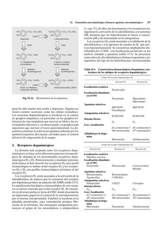 15.   Transmisión catecolaminérgica. Fármacos agonistas catecolaminérgicos             257

                                                                                   (v. cap. 31); de ellos, las fenotiazinas y los tioxantenos an-
     HO             CH2 – CH2 –NH2        H3CO            CH2 – CH2 –NH2           tagonizan la activación de la adenililciclasa con potencia
     HO
                         COMT
                                            HO                                     nM, mientras que las butirofenonas lo hacen a concen-
          Dopamina                               3-Metoxitiramina                  tración µM y las benzamidas no la antagonizan.
                                                                                      Los receptores D2 están asociados a la inhibición de la
                  MAO                                    MAO                       adenililciclasa o a la apertura de canales de K+ que pro-
                                                                                   voca hiperpolarización. Se encuentran ampliamente dis-
                                                                                   tribuidos por el SNC, con localización preferente en los
     HO             CH2 – CHO             H3CO            CH2 – CHO                núcleos caudado y putamen (tabla 15-5). Se presentan
     HO                                     HO                                     como sitios de alta afinidad para fármacos agonistas y an-
          3,4-Dihidroxifenil-                    3-Metoxi-4-hidroxi-
                                                                                   tagonistas del tipo de las butirofenonas, las benzamidas
          acetaldehído                           femilacetaldehído

                  Aldehído-                              Aldehído-                 Tabla 15-5. Características farmacológicas, bioquímicas y mo-
                  deshidrogenasa                         deshidrogenasa               leculares de los subtipos de receptores dopaminérgicos

                                                                                                      Grupo del receptor dopaminérgico D1
     HO             CH2 – COOH            H3CO            CH2 – COOH
                                                                                                                      Receptor D1              Receptor D5
     HO                                     HO
                         COMT
          Ácido 3,4-dihidroxi-                   Ácido homovanílico (AHV)          Localización exclusiva
          fenilacético (DOPAC)                                                                                   Paratiroides
                                                                                   Localización abundante
                                                                                     en el SNC
            Fig. 15-12.         Metabolismo de la dopamina.                                                      Neostriado             Hipotálamo
                                                                                                                                        Hipocampo
                                                                                   Agonistas selectivos
                                                                                                                 SKF38393               SKF38393
gicas ha sido mucho mas tardía e imprecisa. Algunas no
                                                                                                                 Fenoldopam
tienen carácter neuronal, como las células cromafines.                             Antagonistas selectivos
Las neuronas dopaminérgicas se localizan en la cadena                                                            SCH23390               SCH23390
de ganglios simpáticos, en particular en los ganglios tri-                         Sistema efector
butarios de vías simpáticas que inervan el riñón y las ex-                                                       Gs                     Gs
tremidades inferiores y, en menor grado, en ganglios más                           Gen y localización
superiores que inervan el tracto gastrointestinal. La do-                                                        d1; cromosoma 5        d5; cromosoma 4
pamina constituye la señal neuroquímica utilizada por los                                                        446 aminoácidos        477 aminoácidos
quimiorreceptores del cuerpo carotídeo para el control                             Afinidad por la dopa-
del nivel de oxigenación de la sangre.                                               mina
                                                                                                                 Micromolar             Submicromolar

                                                                                                      Grupo del receptor dopaminérgico D2
2.   Receptores dopaminérgicos
                                                                                        Receptor D2                 Receptor D3              Receptor D4
   La división más aceptada entre los receptores dopa-
minérgicos se basa en los diferentes patrones farmacoló-                           Localización exclusiva
gicos de afinidad de los denominados receptores dopa-                                Hipófisis anterior
minérgicos D1 y D2. Posteriormente y mediante patrones                             Localización abundante
moleculares se han descrito los receptores D5 cuyo perfil                            en el SNC
farmacológico es similar al del receptor D1 y los recepto-                           Neostriado           Paleostriado                  Corteza frontal
res D3 y D4 con perfiles farmacológicos próximos al del                                                                                 Médula
                                                                                   Agonistas selectivos
receptor D2.
                                                                                     Bromocriptina               Bromocriptina
   Los receptores D1 están asociados a la activación de la                           Apomorfina                  7-OH-DA
adenililciclasa, de manera que la excitación del receptor                          Antagonistas selectivos
por dopamina produce un aumento del AMPc (tabla 15-5).                               Haloperidol                 UH232                  Clozapina
La significación fisiológica y farmacológica de este recep-                        Sistema efector
tor es menos conocida que la del receptor D2. Se encuen-                             Gi/o                        Gi/o                   Gi/o
tra en diversos núcleos y áreas del SNC donde desempeña                            Gen y localización
un importante papel en el control de la actividad motora                             d2; cromosoma 11            d3; cromosoma 3        d4; cromosoma 11
por el sistema extrapiramidal. También se localizan en la                            443 aminoácidos             400 aminoácidos        387 aminoácidos
glándula paratiroides, cuya estimulación produce libe-                             Afinidad por la dopa-
                                                                                     mina
ración de la hormona. Sus principales antagonistas per-
                                                                                     Micromolar                  Nanomolar              Submicromolar
tenecen al grupo de los neurolépticos o antipsicóticos
 