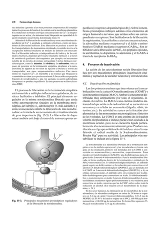 238     Farmacología humana

tica sintaxina y permite a las otras proteínas componentes del complejo     pecíficos (receptores dopaminérgicos D2). Sobre la mem-
iniciar los procesos de fusión de la vesícula con la membrana plasmática.   brana presináptica influyen además otros elementos de
En condiciones normales con bajas concentraciones de Ca2+, la sinapto-
tagmina no es activa y la sintaxina tiene bloqueada su capacidad de fi-     origen humoral o nervioso, que actúan sobre sus corres-
jación mediante una proteína denominada munc-18.                            pondientes receptores. Son facilitadores de la liberación:
    Además de la liberación de noradrenalina y otras catecolaminas de-      la angiotensina, la acetilcolina a ciertas concentraciones,
pendiente de Ca2+ y acoplada a estímulos eléctricos, existe un meca-        la adrenalina mediante receptores b y el ácido g-amino-
nismo de liberación indirecto. Esta liberación se produce a través de
los transportadores de monoaminas circulando en sentido inverso a la
                                                                            butírico (GABA) mediante receptores GABAA. Son in-
recaptación habitual mediante un modelo de difusión con intercam-           hibidores de la liberación: la PGE2, los péptidos opioides,
bio. La liberación indirecta es independiente del calcio y de los estí-     la acetilcolina, la dopamina, la adenosina y el GABA a
mulos eléctricos, pudiendo provocarse mediante fármacos o a través          través de receptores GABAB.
de cambios de gradiente electroquímico; por ejemplo, un incremento
notable de los niveles de potasio extracelular. Ciertos fármacos nor-
adrenérgicos, como la tiramina, la efedrina y la anfetamina, son ca-
paces de penetrar en la terminación simpática, desplazar a la nora-
                                                                            4.     Procesos de inactivación
drenalina de algunos de sus sitios de fijación y liberarla a través del
                                                                               La acción de las catecolaminas recién liberadas fina-
transportador; son, pues, simpatomiméticos indirectos. Este meca-
nismo no requiere Ca2+, es insensible a las toxinas que bloquean la         liza por dos mecanismos principales: inactivación enzi-
transmisión nerviosa y no precisa exocitosis. Liberan sólo una pequeña      mática y captación de carácter neuronal y extraneuronal.
fracción de noradrenalina y, una vez agotada, su acción adrenérgica
desaparece: se produce taquifilaxia. En este proceso no se libera la en-
zima DBH.                                                                   4.1.    Inactivación enzimática
                                                                               Las dos primeras enzimas que intervienen en la meta-
   El proceso de liberación en la terminación simpática
                                                                            bolización son la catecol-O-metiltransferasa (COMT) y
está sometido a múltiples influencias reguladoras, de ca-
                                                                            la monoaminooxidasa (MAO). Ambas se encuentran dis-
rácter facilitador e inhibidor. El principal elemento re-
                                                                            tribuidas muy ampliamente por todo el organismo, in-
gulador es la misma noradrenalina liberada que actúa
                                                                            cluido el cerebro. La MAO es una enzima oxidativa mi-
sobre autorreceptores situados en la membrana presi-
                                                                            tocondrial que actúa en la cadena lateral; se encuentra en
náptica, del subtipo a2-adrenoceptor (v. más adelante), y
                                                                            neuronas y en células no neuronales (hígado, riñón, in-
como consecuencia inhibe la liberación de más noradre-
                                                                            testino, etc.). Su actividad se centra en la fracción cito-
nalina; se trataría de un mecanismo de retroalimentación
                                                                            plasmática de las monoaminas no protegida en el interior
de gran importancia (fig. 15-3). La liberación de dopa-
                                                                            de las vesículas. La COMT es una enzima de la fracción
mina también está bajo el control de autorreceptores es-
                                                                            soluble citoplasmática e incluso puede estar asociada a la
                                                                            membrana celular, pero no se encuentra ligada particu-
                                                                            larmente a las neuronas catecolaminérgicas. Produce me-
                                                                            tilación en el grupo m-hidroxilo del núcleo catecol trans-
                                                                            firiendo el radical metilo de la S-adenosilmetionina.
                                                      Ca2+                  Precisa Mg2+ para su actividad. Las principales vías me-
                                                                            tabólicas se indican en la figura 15-4.

                                        +                                       La noradrenalina y la adrenalina liberadas en la terminación sim-
                                                                            pática o en la médula suprarrenal, y las introducidas en forma exó-
                                                                            gena en la circulación, primero son metiladas por la COMT y con-
                                   NA            NA                         vertidas en normetanefrina y metanefrina, respectivamente. Éstas
                                                                            pueden ser transformadas por la MAO y una deshidrogenasa para ori-
                              –             +                               ginar ácido 3-metoxi-4-hidroximandélico. Pero la noradrenalina libe-
                                                                            rada en forma endógena dentro de la terminación es oxidada por la
                            a2              b2                              MAO mitocondrial en 3,4-dihidroxifenilglicolaldehído; el aldehído
                                                                            puede seguir un doble camino: a) la reducción para convertirse en el
                                                                            alcohol 3,4-dihidroxifeniletilenglicol (DOPEG), que es metilado por
                                  NA                                        la COMT en 3-metoxi-4-hidroxifeniletilenglicol (MOPEG), o b) en
                                                                            células extraneuronales, el aldehído sufre otra oxidación por la alde-
                                                                            hído-deshidrogenasa para convertirse en ácido 3,4-dihidroximandé-
                                                                            lico y, posteriormente, en ácido 3-metoxi-4-hidroximandélico. Las ca-
                                                                            tecolaminas circulantes siguen preferentemente la vía oxidativa para
                                                                            convertirse en ácido, mientras que las del SNC sufren sobre todo la
              b1                                                            reducción en alcohol. (En relación con el metabolismo de la dopa-
                       b2                        a2                         mina, v. IV.)
                                   a1
                                                                                En los seres humanos, la eliminación de los metabolitos de la nor-
                                                                            adrenalina y la adrenalina endógenas en orina de 24 horas se repar-
                                                                            ten en 2-4 mg de ácido 3-metoxi-4-hidroximandélico, 1,2-1,8 mg de
                                                                            MOPEG (el 20-30 % del cual se origina en el SNC), 100-300 µg de nor-
Fig. 15-3. Principales mecanismos presinápticos reguladores                 metanefrina y 100-200 µg de metanefrina. En forma libre aparecen 25-
             de la liberación de noradrenalina.                             50 µg de noradrenalina y 2-5 µg de adrenalina.
 