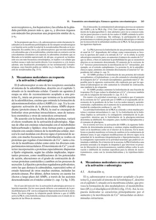 15.   Transmisión catecolaminérgica. Fármacos agonistas catecolaminérgicos           243

seen receptores a2, los hepatocitos y las células de la glán-                       En el miocardio, la estimulación b-adrenérgica provoca un aumento
dula parótida poseen más a1 que a2, y diversos órganos                          del AMPc y de la PKA (fig. 15-6). Esto explica claramente el incre-
                                                                                mento de la glucogenólisis (v. más adelante), pero no se conocen toda-
con músculo liso presentan una proporción similar de a1                         vía los pasos precisos a través de los cuales el AMPc estimula la activi-
y a2.                                                                           dad miotropa y cronotropa. Sin embargo, la participación de una
                                                                                proteíncinasa es evidente porque la activación b-adrenérgica es imitada
    Se ha propuesto que los a1 y b1-adrenoceptores están claramente lo-         por la inyección de la subunidad catalítica de la PKA. Se han propuesto
calizados en la membrana postsináptica de las sinapsis noradrenérgicas          las siguientes hipótesis:
y su función sería recibir la señal de la noradrenalina liberada en la ter-
minación. En cambio, los a2 y b2-adrenoceptores que son más sensibles               a) La PKA provoca la fosforilación de una proteína perteneciente
a la adrenalina que a la noradrenalina, estarían más en contacto con las        al canal de Ca2+ dependiente del voltaje; como consecuencia se favo-
catecolaminas circulantes (en especial, la adrenalina circulante que es         rece la apertura del canal y la entrada de Ca2+ en la célula; la acción
liberada en la médula suprarrenal); de ahí que, en general, su localiza-        adrenérgica consistiría, pues, en aumentar el número de canales de Ca2+
ción sea con más frecuencia extrasináptica, en tejidos o en células que         que se abren, o bien en aumentar la probabilidad de que se encuentren
reciben escasa o nula inervación directa. Los receptores a2 y b2 tienen,        abiertos en un momento determinado. El aumento de la corriente de
además, una localización presináptica en las terminaciones noradre-             Ca2+ favorece posteriormente la movilización de Ca2+ intracelular, por
nérgicas, cuya función podría ser inhibir (a2) o facilitar (b2) la libera-      ejemplo, en el retículo endoplásmico. La proteína Gs de la adenililci-
ción de noradrenalina (fig. 15-3).                                              clasa es capaz, asimismo, de estimular directamente el canal de Ca2+ de-
                                                                                pendiente del voltaje (v. cap. 3).
                                                                                    b) El AMPc produce la fosforilación de una proteína del retículo
3.   Mecanismos moleculares en respuesta                                        sarcoplásmico, el fosfolambano, y con ello estimula la velocidad inicial
     a la activación b-adrenérgica                                              de transporte de Ca2+ al retículo sarcoplásmico, quedando más Ca2+ dis-
                                                                                ponible para la siguiente contracción; ello explicaría por qué los ago-
   El b-adrenoceptor es uno de los receptores asociados                         nistas b-adrenérgicos no sólo aumentan la velocidad de contracción,
                                                                                sino también la de relajación.
al sistema de la adenililciclasa, descrito en el capítulo 3,
                                                                                    c) El AMPc produce asimismo la fosforilación de una fracción de
situado en la membrana celular. Cuando un agonista b                            troponina (Tn I) que reduce la afinidad por el Ca2+ y favorece también
ocupa su sitio de reconocimiento acoplado a una pro-                            con ello la relajación del miocardio (v. cap. 35, I, 3).
teína Gs, inicia un proceso que termina en la activación                            En cuanto a la actividad cronotropa, se considera que el aumento
de la adenililciclasa, enzima que estimula la formación de                      de la corriente de Ca2+ generado por el AMPc es el responsable del in-
                                                                                cremento de la pendiente de la fase 4 en los nodos sinusal y auriculo-
adenosinmonofosfato cíclico (AMPc) (v. cap. 3) y la con-                        ventricular, explicándose así el aumento de la automaticidad y de la ve-
siguiente activación de la proteín-cinasa AMPc-depen-                           locidad de conducción cardíacas (v. cap. 35).
diente (proteín-cinasa A, PKA), la cual se encargará de                             La actividad fosforilante de la PKA se extiende a otras muchas pro-
fosforilar otras proteínas intracelulares, unas de natura-                      teínas y enzimas intracelulares (v. cap. 3). La fosforilación de la fosfo-
                                                                                rilasa implica su activación y la consiguiente estimulación de la glu-
leza enzimática y otras de naturaleza estructural.
                                                                                cogenólisis; mientras que la fosforilación de la glucógeno-sintetasa
   De acuerdo con la función de dichas proteínas, variará                       determina su inhibición. En conjunto, pues, facilita la hiperglucemia y
el efecto resultante de la activación b-adrenérgica. Algu-                      el consumo de glucógeno.
nas de ellas son enzimas relacionadas con el metabolismo                            En el sistema nervioso, la activación del AMPc y la siguiente fosfo-
hidrocarbonado y lipídico; otras forman parte o guardan                         rilación de determinadas proteínas y enzimas origina modificaciones,
                                                                                tanto en la membrana como en el interior de la neurona. En la mem-
relación con canales iónicos de la membrana celular, mer-                       brana se pueden manifestar en forma de cambios en la conductancia de
ced a lo cual modulan con diverso signo el potencial de ac-                     distintos iones, lo que originará modificaciones de diverso signo en la
ción; con mucha frecuencia, la fosforilación se realiza en                      polaridad de la membrana (despolarización o hiperpolarización), con
proteínas que regulan el movimiento de Ca2+, tanto a tra-                       la consiguiente repercusión en la actividad neuronal, que podrá ser es-
                                                                                timulada o inhibida. En el interior de la neurona, la PKA fosforila a una
vés de la membrana celular como entre los diversos com-
                                                                                proteína asociada a la sinapsis, la sinapsina I, que interviene en proce-
partimientos intracelulares. El movimiento de Ca2+ y su ul-                     sos de liberación de neurotransmisores; también influye sobre la acti-
terior incorporación a proteínas especialmente dispuestas                       vación o inhibición de enzimas específicas para la síntesis de neuro-
a fijarlo originarán, según las células implicadas, impor-                      transmisores, como son la tirosina-hidroxilasa y la triptófano-hidro-
tantes procesos, como modificaciones de los potenciales                         xilasa.
de acción, alteraciones en el grado de contracción de di-
versas proteínas contráctiles y cambios en los procesos de                      4.     Mecanismos moleculares en respuesta
secreción. La fijación a proteínas reguladoras polivalentes,                           a la activación a-adrenérgica
entre las que destaca la calmodulina, repercutirá sobre el
estado funcional de otras muchas enzimas, incluidas las                         4.1.    Activación a1
proteín-cinasas. Por último, deben tenerse en cuenta los
efectos a largo plazo del AMPc, a través de las acciones                           El a1-adrenoceptor es un receptor acoplado a la pro-
desencadenadas en el núcleo celular (v. cap. 3 y fig. 3-20).                    teína Gq y asociado al sistema de la fosfolipasa C, descrito
                                                                                en el capítulo 3, situado en la membrana celular, que pro-
    En el caso del músculo liso, la activación b-adrenérgica provoca re-        voca la formación de dos moduladores: el inositoltrifos-
lajación muscular. En los vasos puede deberse a un aumento de la per-           fato (IP3) y el diacilglicerol (DAG) (fig. 15-6). Así, la res-
meabilidad para el K+ con la consiguiente hiperpolarización de la mem-
brana. En otros órganos, la relajación puede deberse a que el AMPc
                                                                                puesta molecular se caracteriza principalmente por el
activa la PKA y ésta fosforila enzimas relacionadas con el estado de re-        aumento y la movilización de Ca2+ intracelular en deter-
lajación de las fibras de miosina.                                              minadas estructuras.
 