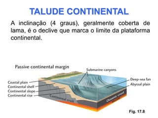 TALUDE CONTINENTAL
A inclinação (4 graus), geralmente coberta de
lama, é o declive que marca o limite da plataforma
continental.




                                          Fig. 17.8
 
