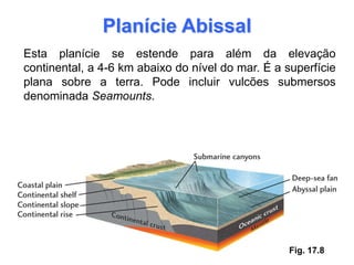 Planície Abissal
Esta planície se estende para além da elevação
continental, a 4-6 km abaixo do nível do mar. É a superfície
plana sobre a terra. Pode incluir vulcões submersos
denominada Seamounts.




                                                   Fig. 17.8
 
