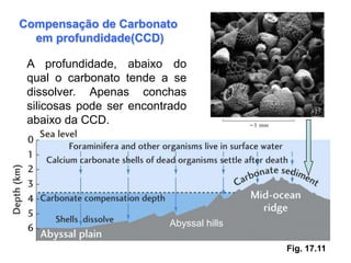 Compensação de Carbonato
  em profundidade(CCD)

 A profundidade, abaixo do
 qual o carbonato tende a se
 dissolver. Apenas conchas
 silicosas pode ser encontrado
 abaixo da CCD.




                          Abyssal hills

                                          Fig. 17.11
 