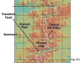 Transform
   Fault

            Abyssal              Central
             Plain              Rift Valley

 Seamount

                      Abyssal
                       Hills



                                              Fig. 17.3
 
