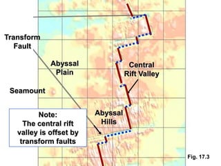 Transform
   Fault

             Abyssal                Central
              Plain                Rift Valley

 Seamount


         Note:           Abyssal
     The central rift     Hills
   valley is offset by
    transform faults

                                                 Fig. 17.3
 