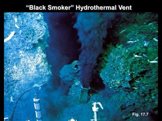 “Black Smoker” Hydrothermal Vent




                                   Fig. 17.7
 