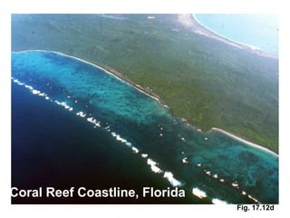 Coral Reef Coastline, Florida
                                Fig. 17.12d
 