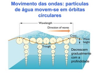 Movimento das ondas: partículas
 de água movem-se em órbitas
          circulares




                        Decrescem
                        gradualmente
                        com a
                        profindidade
 