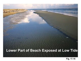 Lower Part of Beach Exposed at Low Tide

                                Fig. 17.16
 