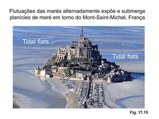 Flutuações das marés alternadamente expõe e submerge
planícies de maré em torno do Mont-Saint-Michel, França



     Tidal flats

                                         Tidal flats




                                                Fig. 17.15
 