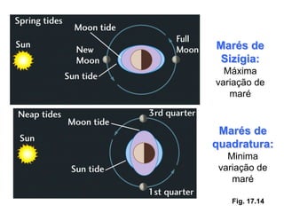 Marés de
 Sizígia:
  Máxima
variação de
   maré


 Marés de
quadratura:
   Minima
 variação de
    maré

    Fig. 17.14
 