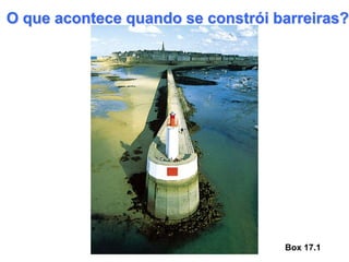 O que acontece quando se constrói barreiras?




                                   Box 17.1
 