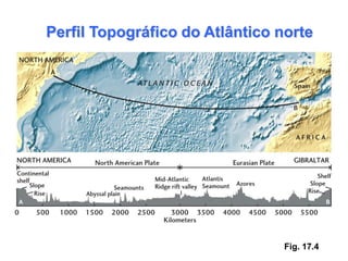 Perfil Topográfico do Atlântico norte




                                 Fig. 17.4
 