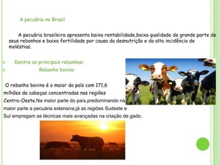 A pecuária no Brasil
A pecuária brasileira apresenta baixa rentabilidade,baixa qualidade de grande parte de
seus rebanhos e baixa fertilidade por causa da desnutrição e da alta incidência de
moléstias.



Dentre os principais rebanhos:
Rebanho bovino

O rebanho bovino é o maior do país com 171,6

milhões de cabeças concentradas nas regiões
Centro-Oeste.Na maior parte do país,predominando na
maior parte a pecuária extensiva,já as regiões Sudeste e
Sul empregam as técnicas mais avançadas na criação de gado.

 