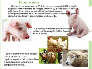 Rebanho suíno
O rebanho de suínos era de 35,9 de cabeças no ano de 2007, a região
sul possui o maior número de cabeças com(44,4%). Sendo que este efetivo
está ligado à existência de uma ativa indústria de carnes
suínas,principalmente em SC,no Oeste deste estado encontram-se grandes
abatedouros e frigoríficos,instalados em Concórdia.



Os outros produtores mais importantes
também estão na região Sul:Rio Grande
do Sul e Paraná.

Embora também sejam criados
outros rebanhos: como
caprinos,equinos,ovinos,bubalinos
e avicultura que faz parte do
complexo de carnes.

 