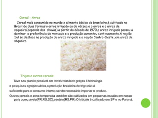 Cereal - Arroz
Cereal mais consumido no mundo,e alimento básico do brasileiro,é cultivado no
Brasil de duas formas:o arroz irrigado ou de várzea e o arroz e o arroz de
sequeiro(depende das chuvas),a partir da década de 1970,o arroz irrigado passou a
dominar a preferência do mercado e a produção aumentou continuamente.A região
Sul se destaca na produção do arroz irrigado e a região Centro-Oeste ,em arroz de
sequeiro.

Trigos e outros cereais
Teve seu plantio possível em terras brasileiro graças à tecnologia
e pesquisas agropecuárias,a produção brasileira de trigo não é
suficiente para o consumo interno,sendo necessário importar o produto.

Outros cereais e zona temperada também são cultivados em pequenas escalas em nosso
país como:aveia(PR,RS,SC),centeio(RS,PR).O triticale é cultivado em SP e no Paraná.

 