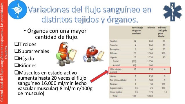 Resultado de imagen para Flujo sanguÃneo hacia distintos órganos y tejidos en condiciones basales