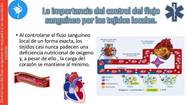 Resultado de imagen para Importancia del control del flujo sanguÃneo por los tejidos locales