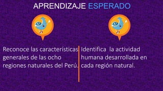 APRENDIZAJE ESPERADO
Reconoce las características
generales de las ocho
regiones naturales del Perú.
Identifica la actividad
humana desarrollada en
cada región natural.
 