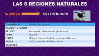 TOPONÍMICO Blanco, maíz tostado
HABITANTE NATIVO -
RELIEVE Accidentado: alta montaña, glaciares, etc.
CLIMA Muy frío
FLORA Musgos, líquenes, festuca, yareta, yaretilla, etc.
FAUNA vicuña, vizcacha, chinchilla, cóndor.
CIUDADES -
4800 a 6768 msnm
6. JANCA
LAS 8 REGIONES NATURALES
 