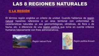 CAPITULO_19_ 8 Regiones.pptx