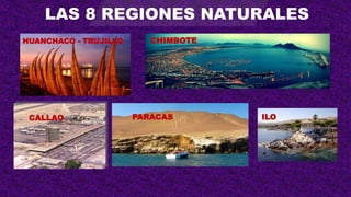 CHIMBOTE
ILO
PARACAS
CALLAO
HUANCHACO - TRUJILLO
LAS 8 REGIONES NATURALES
 