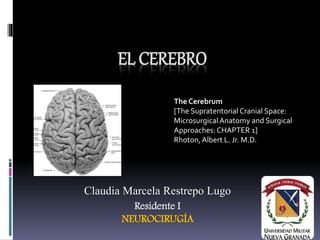 EL CEREBRO
Claudia Marcela Restrepo Lugo
Residente I
NEUROCIRUGÍA
The Cerebrum
[The Supratentorial Cranial Space:
MicrosurgicalAnatomy and Surgical
Approaches:CHAPTER 1]
Rhoton, Albert L. Jr. M.D.
 