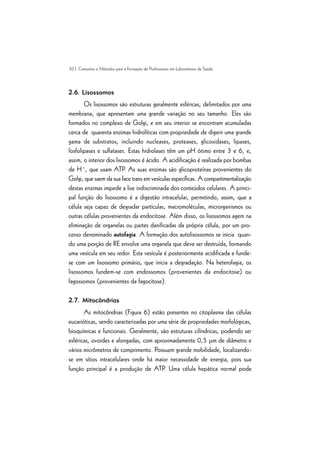 30 | Conceitos e Métodos para a Formação de Profissionais em Laboratórios de Saúde
2.6. Lisossomos
Os lisossomos são estruturas geralmente esféricas, delimitados por uma
membrana, que apresentam uma grande variação no seu tamanho. Eles são
formados no complexo de Golgi, e em seu interior se encontram acumuladas
cerca de quarenta enzimas hidrolíticas com propriedade de digerir uma grande
gama de substratos, incluindo nucleases, proteases, glicosidases, lipases,
fosfolipases e sulfatases. Estas hidrolases têm um pH ótimo entre 3 e 6, e,
assim, o interior dos lisossomos é ácido. A acidificação é realizada por bombas
de H+
, que usam ATP. As suas enzimas são glicoproteínas provenientes do
Golgi, que saem da sua face trans em vesículas específicas. A compartimentalização
destas enzimas impede a lise indiscriminada dos conteúdos celulares. A princi-
pal função do lisossomo é a digestão intracelular, permitindo, assim, que a
célula seja capaz de degradar partículas, macromoléculas, microrganismos ou
outras células provenientes da endocitose. Além disso, os lisossomos agem na
eliminação de organelas ou partes danificadas da própria célula, por um pro-
cesso denominado autofagia. A formação dos autolisossomos se inicia quan-
do uma porção de RE envolve uma organela que deve ser destruída, formando
uma vesícula em seu redor. Esta vesícula é posteriormente acidificada e funde-
se com um lisossomo primário, que inicia a degradação. Na heterofagia, os
lisossomos fundem-se com endossomos (provenientes da endocitose) ou
fagossomos (provenientes da fagocitose).
2.7. Mitocôndrias
As mitocôndrias (Figura 6) estão presentes no citoplasma das células
eucarióticas, sendo caracterizadas por uma série de propriedades morfológicas,
bioquímicas e funcionais. Geralmente, são estruturas cilíndricas, podendo ser
esféricas, ovoides e alongadas, com aproximadamente 0,5 mm de diâmetro e
vários micrômetros de comprimento. Possuem grande mobilidade, localizando-
se em sítios intracelulares onde há maior necessidade de energia, pois sua
função principal é a produção de ATP. Uma célula hepática normal pode
 