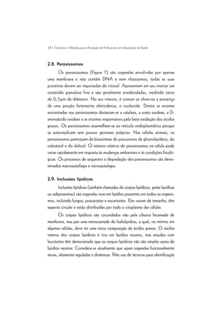 32 | Conceitos e Métodos para a Formação de Profissionais em Laboratórios de Saúde
2.8. Peroxissomos
Os peroxissomos (Figura 7) são organelas envolvidas por apenas
uma membrana e não contêm DNA e nem ribossomos; todas as suas
proteínas devem ser importadas do citosol. Apresentam em seu interior um
conteúdo granuloso fino e são geralmente arredondadas, medindo cerca
de 0,5mm de diâmetro. No seu interior, é comum se observar a presença
de uma porção fortemente eletrodensa, o nucleoide. Dentre as enzimas
encontradas nos peroxissomos destacam-se a catalase, a urato oxidase, a D-
aminoácido oxidase e as enzimas responsáveis pela beta oxidação dos ácidos
graxos. Os peroxissomos assemelham-se ao retículo endoplasmático porque
se autorreplicam sem possuir genomas próprios. Nas células animais, os
peroxissomos participam da biossíntese de precursores de glicerolipídeos, do
colesterol e do dolicol. O número relativo de peroxissomos na célula pode
variar rapidamente em resposta às mudanças ambientais e às condições fisioló-
gicas. Os processos de sequestro e degradação dos peroxissomos são deno-
minados macroautofagia e microautofagia.
2.9. Inclusões lipídicas
Inclusões lipídicas (também chamadas de corpos lipídicos, gotas lipidícas
ou adipossomas) são organelas ricas em lipídios presentes em todos os organis-
mos, incluindo fungos, procariotos e eucariontes. Elas variam de tamanho, têm
aspecto circular e estão distribuídas por todo o citoplasma das células.
Os corpos lipídicos são circundados não pela clássica bicamada de
membrana, mas por uma monocamada de fosfolipídios, a qual, no mínimo em
algumas células, deve ter uma única composição de ácidos graxos. O núcleo
interno dos corpos lipídicos é rico em lipídios neutros, mas estudos com
leucócitos têm demonstrado que os corpos lipídicos não são simples sacos de
lipídios neutros. Considera-se atualmente que sejam organelas funcionalmente
ativas, altamente reguladas e dinâmicas. Pelo uso de técnicas para identificação
 