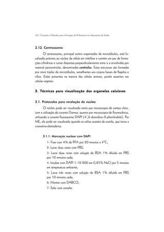 36 | Conceitos e Métodos para a Formação de Profissionais em Laboratórios de Saúde
2.12. Centrossomo
O centrossomo, principal centro organizador de microtúbulos, está lo-
calizado próximo ao núcleo da célula em intérfase e contém um par de forma-
ções cilíndricas e curtas dispostas perpendicularmente entre si e envolvidas por
material pericentriolar, denominadas centríolos. Estas estruturas são formadas
por nove triplex de microtúbulos, semelhantes aos corpos basais de flagelos e
cílios. Estão presentes na maioria das células animais, porém ausentes nas
células vegetais.
3. Técnicas para visualização das organelas celulares
3. Técnicas para visualização das organelas celulares
3. Técnicas para visualização das organelas celulares
3. Técnicas para visualização das organelas celulares
3. Técnicas para visualização das organelas celulares
3.1. Protocolos para revelação do núcleo
O núcleo pode ser visualizado tanto por microscopia de campo claro,
com a utilização do corante Giemsa, quanto por microscopia de fluorescência,
utilizando o corante fluorescente DAPI (4’,6-diamidino-2-phenilindole). Por
ME, ele pode ser visualizado quando se utiliza acetato de uranila, que torna a
cromatina eletrodensa.
3.1.1. Marcação nuclear com DAPI
1- Fixar com 4% de PFA por 20 minutos a 4ºC;
2- Lavar duas vezes com PBS;
3- Lavar duas vezes com solução de BSA 1% diluída em PBS
por 10 minutos cada;
4- Incubar com DAPI 1:10.000 em 0,85% NaCl por 5 minutos
em temperatura ambiente;
5- Lavar três vezes com solução de BSA 1% diluída em PBS
por 10 minutos cada;
6- Montar com DABCO;
7- Selar com esmalte.
 