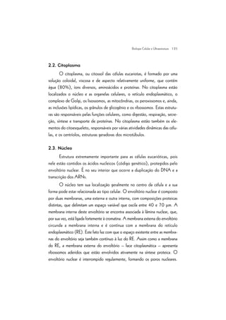 | 25
2.2. Citoplasma
O citoplasma, ou citossol das células eucariotas, é formado por uma
solução coloidal, viscosa e de aspecto relativamente uniforme, que contém
água (80%), íons diversos, aminoácidos e proteínas. No citoplasma estão
localizados o núcleo e as organelas celulares, o retículo endoplasmático, o
complexo de Golgi, os lisossomos, as mitocôndrias, os peroxissomos e, ainda,
as inclusões lipídicas, os grânulos de glicogênio e os ribossomos. Estas estrutu-
ras são responsáveis pelas funções celulares, como digestão, respiração, secre-
ção, síntese e transporte de proteínas. No citoplasma estão também os ele-
mentos do citoesqueleto, responsáveis por várias atividades dinâmicas das célu-
las, e os centríolos, estruturas geradoras dos microtúbulos.
2.3. Núcleo
Estrutura extremamente importante para as células eucarióticas, pois
nele estão contidos os ácidos nucleicos (código genético), protegidos pelo
envoltório nuclear. É no seu interior que ocorre a duplicação do DNA e a
transcrição dos ARNs.
O núcleo tem sua localização geralmente no centro da célula e a sua
forma pode estar relacionada ao tipo celular. O envoltório nuclear é composto
por duas membranas, uma externa e outra interna, com composições proteicas
distintas, que delimitam um espaço variável que oscila entre 40 e 70 mm. A
membrana interna deste envoltório se encontra associada à lâmina nuclear, que,
por sua vez, está ligada fortemente à cromatina. A membrana externa do envoltório
circunda a membrana interna e é contínua com a membrana do retículo
endoplasmático (RE). Este fato faz com que o espaço existente entre as membra-
nas do envoltório seja também contínuo à luz do RE. Assim como a membrana
do RE, a membrana externa do envoltório – face citoplasmática – apresenta
ribossomos aderidos que estão envolvidos ativamente na síntese proteica. O
envoltório nuclear é interrompido regularmente, formando os poros nucleares.
Biologia Celular e Ultraestrutura
 