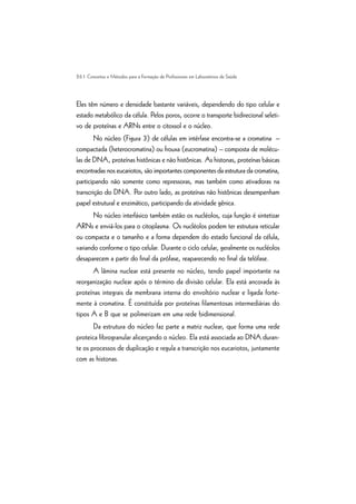 26 | Conceitos e Métodos para a Formação de Profissionais em Laboratórios de Saúde
Eles têm número e densidade bastante variáveis, dependendo do tipo celular e
estado metabólico da célula. Pelos poros, ocorre o transporte bidirecional seleti-
vo de proteínas e ARNs entre o citossol e o núcleo.
No núcleo (Figura 3) de células em intérfase encontra-se a cromatina –
compactada (heterocromatina) ou frouxa (eucromatina) – composta de molécu-
las de DNA, proteínas histônicas e não histônicas. As histonas, proteínas básicas
encontradas nos eucariotos, são importantes componentes da estrutura da cromatina,
participando não somente como repressoras, mas também como ativadoras na
transcrição do DNA. Por outro lado, as proteínas não histônicas desempenham
papel estrutural e enzimático, participando da atividade gênica.
No núcleo interfásico também estão os nucléolos, cuja função é sintetizar
ARNs e enviá-los para o citoplasma. Os nucléolos podem ter estrutura reticular
ou compacta e o tamanho e a forma dependem do estado funcional da célula,
variando conforme o tipo celular. Durante o ciclo celular, geralmente os nucléolos
desaparecem a partir do final da prófase, reaparecendo no final da telófase.
A lâmina nuclear está presente no núcleo, tendo papel importante na
reorganização nuclear após o término da divisão celular. Ela está ancorada às
proteínas integrais da membrana interna do envoltório nuclear e ligada forte-
mente à cromatina. É constituída por proteínas filamentosas intermediárias do
tipos A e B que se polimerizam em uma rede bidimensional.
Da estrutura do núcleo faz parte a matriz nuclear, que forma uma rede
proteica fibrogranular alicerçando o núcleo. Ela está associada ao DNA duran-
te os processos de duplicação e regula a transcrição nos eucariotos, juntamente
com as histonas.
 