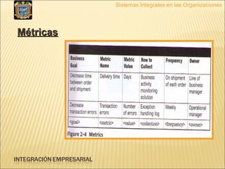 Sistemas Integrales en las Organizaciones Métricas 