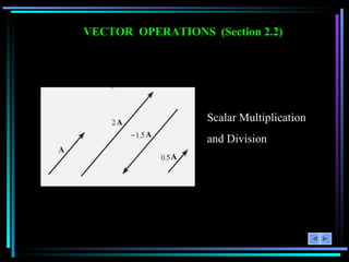 VECTOR  OPERATIONS   (Section 2.2) Scalar Multiplication  and Division 