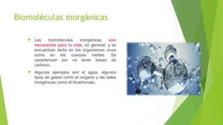 Biomoléculas inorgánicas
 Las biomoléculas inorgánicas son
necesarias para la vida, en general, y se
encuentran tanto en los organismos vivos
como en los cuerpos inertes. Se
caracterizan por no tener bases de
carbono.
 Algunos ejemplos son el agua, algunos
tipos de gases como el oxígeno y las sales
inorgánicas como el bicarbonato.
 