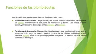 Funciones de las biomoléculas
Las biomoléculas pueden tener diversas funciones, tales como:
 Funciones estructurales. Las proteínas y los lípidos sirven como materia de sostén de
las células, manteniendo la estructura de membranas y tejidos. Los lípidos también
constituyen la reserva de energía en los animales y las plantas.
 Funciones de transporte. Algunas biomoléculas sirven para movilizar nutrientes y otras
sustancias a lo largo del cuerpo, dentro y fuera de las células, uniéndose a ellas
mediante enlaces específicos que luego pueden romperse. Un ejemplo de este tipo de
biomolécula es el agua.
 