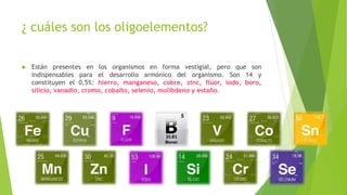 ¿ cuáles son los oligoelementos?
 Están presentes en los organismos en forma vestigial, pero que son
indispensables para el desarrollo armónico del organismo. Son 14 y
constituyen el 0,5%: hierro, manganeso, cobre, zinc, flúor, iodo, boro,
silicio, vanadio, cromo, cobalto, selenio, molibdeno y estaño.
 