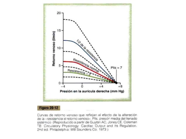 Ver las imágenes de origen