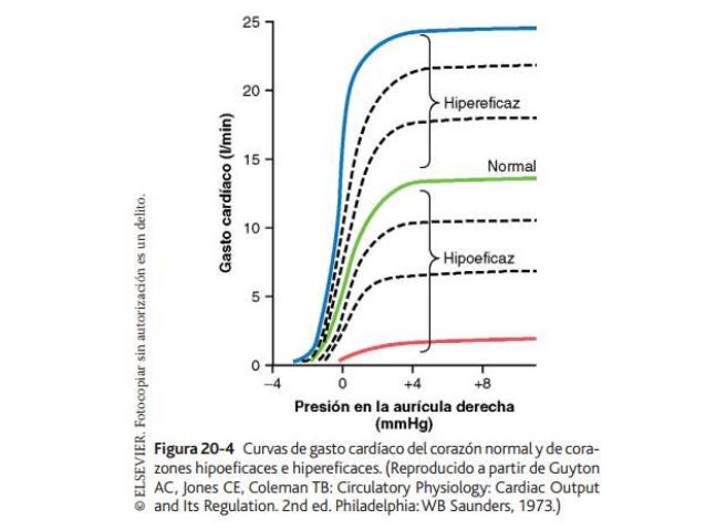 Ver las imágenes de origen