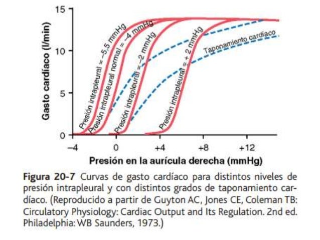 Ver las imágenes de origen
