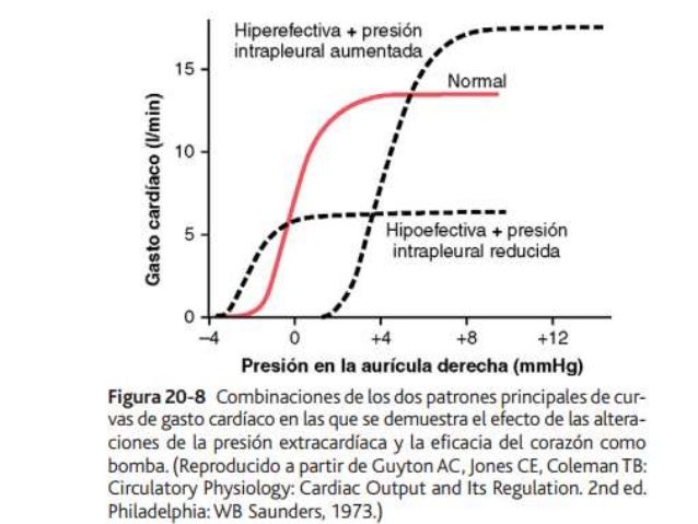Ver las imágenes de origen