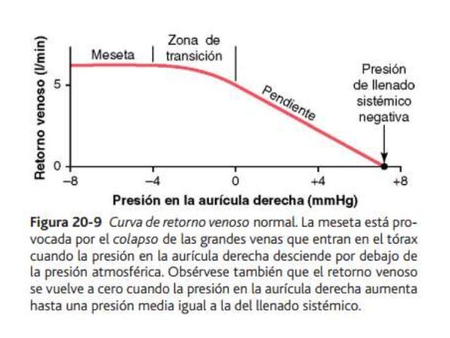 Ver las imágenes de origen