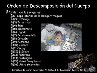 Hidrólisis:  es la descomposición de tejido causada por la molécula de agua (H20).
