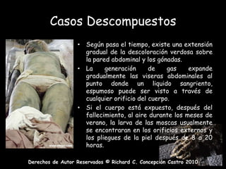 Casos DescompuestosSegún pasa el tiempo, existe una extensión gradual de la descoloración verdosa sobre la pared abdominal y los gónadas.La generación de gas expande gradualmente las viseras abdominales al punto donde un liquido sangriento, espumoso puede ser visto a través de cualquier orificio del cuerpo.Si el cuerpo está expuesto, después del fallecimiento, al aire durante los meses de verano, la larva de las moscas usualmente se encontraran en los orificios externos y los pliegues de la piel después de 8 a 20 horas.