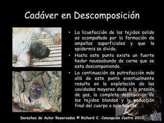 Cadáver en DescomposiciónLa licuefacción de los tejidos solido es acompañada por la formación de ampollas superficiales y que la epidermis se divida.Hasta este punto existe un fuerte hedor nauseabundo de carne que se esta descomponiendo.La continuación de putrefacción más allá de este punto eventualmente resulta en la explotación de las cavidades mayores dada a la presión de gas, la completa destrucción de los tejidos blandos y la reducción final del cuerpo a solo huesos.