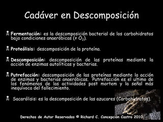 Cadáver en DescomposiciónFermentación: es la descomposición bacterial de los carbohidratos bajo condiciones anaeróbicas (≠ O2).