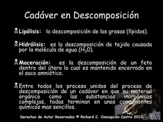 Proteólisis: descomposición de la proteína.